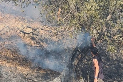 G&uuml;re'de yerleşim yerlerine yakın alanda zeytinlik yangını 
