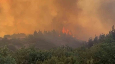 Balıkesir&rsquo;de orman yangını