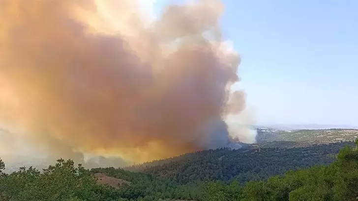 Balıkesir'de orman yangını