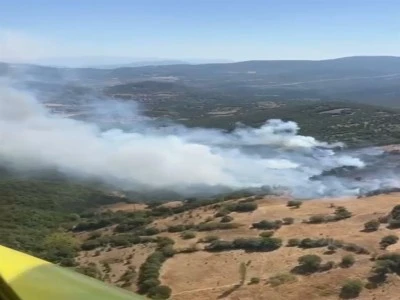 Balıkesir'de orman yangını