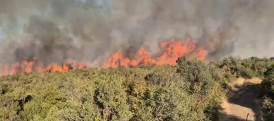 Balıkesir&rsquo;deki orman yangınına m&uuml;dahale s&uuml;r&uuml;yor