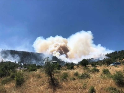 Balıkesir'deki orman yangınlarında son durum