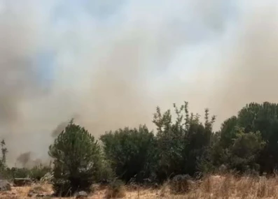 Balıkesir Sındırgı&rsquo;da orman yangını