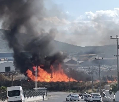 Bandırma OSB&rsquo;de palet yangını: Ekipler faciayı &ouml;nledi