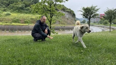 Bankada mahsur kalan k&ouml;pek t&uuml;m alarm sistemini devreye soktu