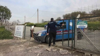 Barınakta k&ouml;pek &ouml;l&uuml;mleriyle ilgili soruşturma