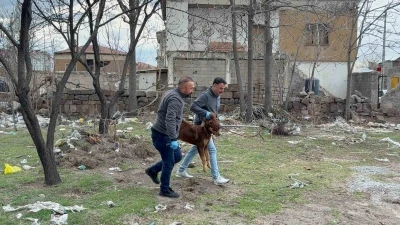 Başıboş k&ouml;peğin saldırdığı 3 yaşındaki &ccedil;ocuk ağır yaralandı