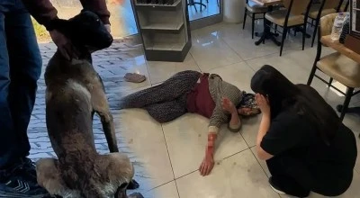 Başıboş k&ouml;pek dinlenme tesisinde kadının kolunu kopardı