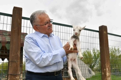 Başkan B&uuml;y&uuml;kkılı&ccedil;, hayvanat bah&ccedil;esini ziyaret etti
