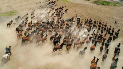 Başkan B&uuml;y&uuml;kkılı&ccedil;: "H&uuml;rmet&ccedil;i Sazlığı&rsquo;nda yatırımlar ile yeni bir d&ouml;nem başladı"
