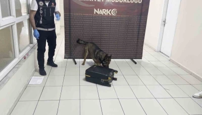 Batman&rsquo;da uyuşturucu dolu valiz "Hektor"a takıldı
