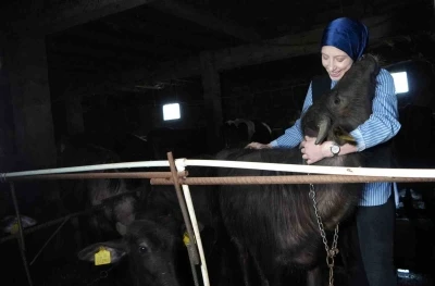 Bayburt&rsquo;un tek kadın manda yetiştiricisi devlet desteğiyle kendi &ccedil;iftliğini kurdu: Mandaları k&ouml;y&uuml;n simgesi oldu
