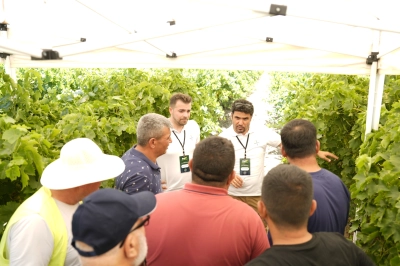 Bayer Bağ &Uuml;reticilerine Entegre M&uuml;cadele ve Dijital Tarım &Ccedil;&ouml;z&uuml;mlerini Anlattı