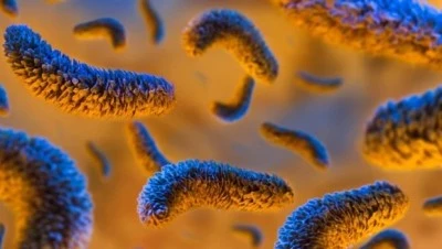 Bel&ccedil;ika'da salmonella alarmı: En az 300 kişiye bulaştı