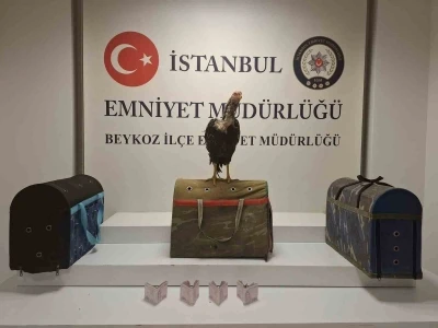 Beykoz&rsquo;da horoz d&ouml;v&uuml;ş&uuml;ne polis baskını: 21 kişiye 194 bin lira ceza
