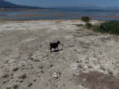 Beyşehir G&ouml;l&uuml; kurudu