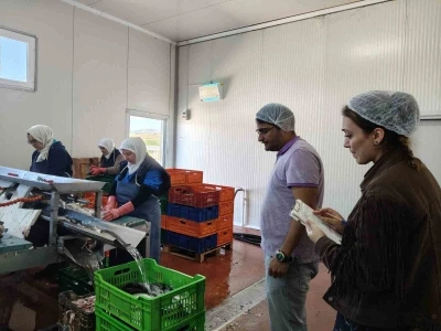 Beyşehir G&ouml;l&uuml;ne kıyısı olan il&ccedil;edeki balık fabrikaları denetlendi
