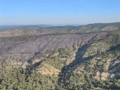 Bilecik'teki orman yangını kontrol altına alındı