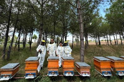 Bilin&ccedil;li &Uuml;retim, Kocaeli&rsquo;nin Balını T&uuml;rkiye&rsquo;ye Taşıyor
