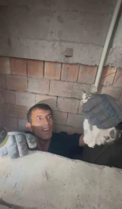 Bina boşluğuna d&uuml;şen yavru kedi itfaiye ekiplerince kurtarıldı
