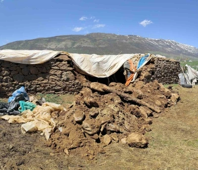 Bing&ouml;l&rsquo;de fırtına ve sağanak nedeniyle ahır &ccedil;&ouml;kt&uuml;
