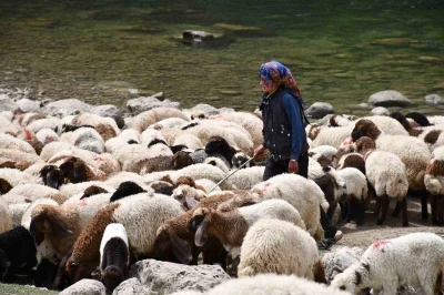 Bir &ccedil;ocuğun sessiz &ccedil;ığlığı: "Hi&ccedil; oyuncağım olmadı"
