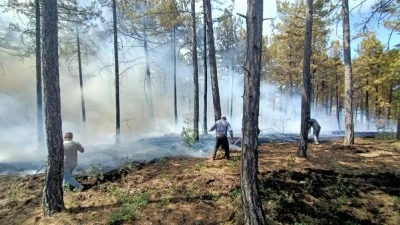 Bir orman yangını daha! 