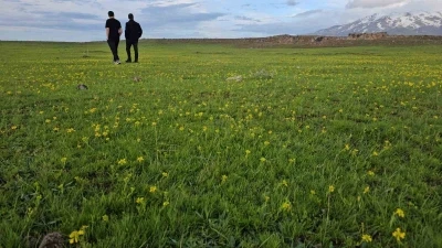 Bitlis&rsquo;in saklı g&uuml;zellikleri: Cil G&ouml;l&uuml; ve S&uuml;tey Yaylası
