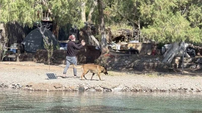 Bodrum Adaboğazı&rsquo;na ka&ccedil;ak yapı operasyonu
