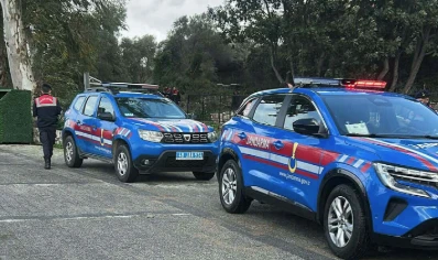 Bodrum&rsquo;da 2 k&ouml;peğin &ouml;ld&uuml;r&uuml;lmesi olayında ş&uuml;pheli tutuklandı
