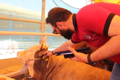 Boğa Timi G&ouml;rev Başında