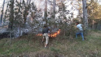 Bolu&rsquo;da orman yangını başladı