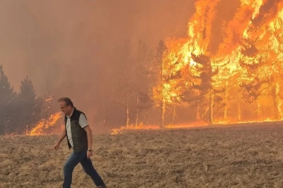 Bolu'da orman yangınına neden olan 1 ş&uuml;pheli tutuklandı