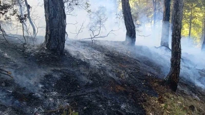 Bolu&rsquo;da &ouml;rt&uuml; yangını: 1 hektar zarar g&ouml;rd&uuml;