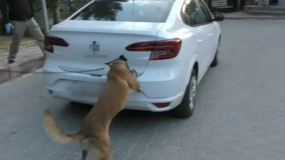 Bolu&rsquo;da zehir tacirlerine ge&ccedil;it yok: 12 g&ouml;zaltı
