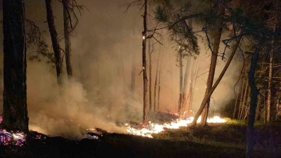 Bolu&rsquo;daki orman yangını b&uuml;y&uuml;yor: Karadan m&uuml;dahale s&uuml;r&uuml;yor