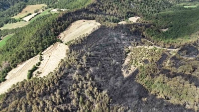 Bolu&rsquo;daki orman yangınında 25 hektarlık alan k&uuml;le d&ouml;nd&uuml;
