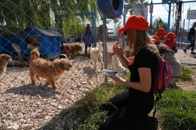 Borusanlı G&ouml;n&uuml;ll&uuml;lerden &ldquo;Pati El&ccedil;ileri&rdquo; Projesiyle Sahipsiz Hayvanlara Destek