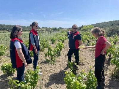 Bozcaada&rsquo;da organik tarım dentimleri yapıldı
