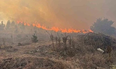 Boz&uuml;y&uuml;k&rsquo;te orman yangını kontrol altına alındı