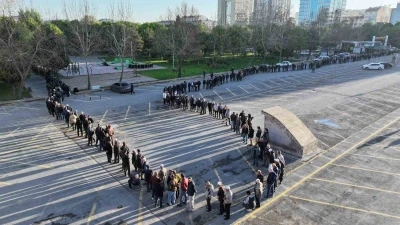 Bu da domates fidesi kuyruğu
