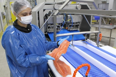 Bu Filmin Başrol&uuml;nde T&uuml;rk Somonu Oynadı