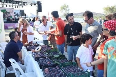 Bursa Ak&ccedil;alar Fadıllı İncir Festivali'nde hazırlıklar tamamlandı