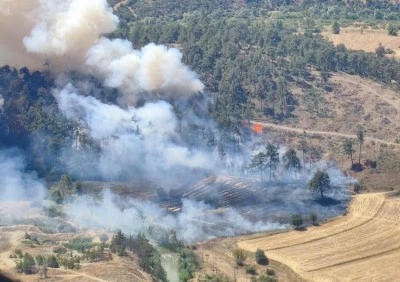Bursa B&uuml;y&uuml;korhan'da orman yangını