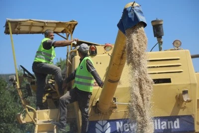 Bursa B&uuml;y&uuml;kşehir'in yaptığı &ccedil;alışmalarla ilk hasat ger&ccedil;ekleşti 