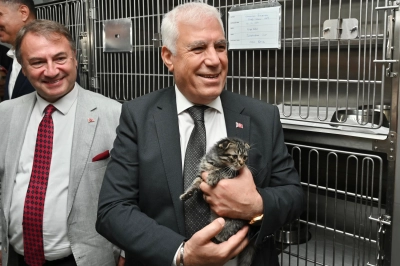 Bursa B&uuml;y&uuml;kşehir Patili Dostların Yanında