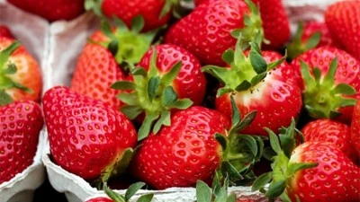 Bursa B&uuml;y&uuml;kşehir Tarım Peyzaj A.Ş ve &ccedil;ift&ccedil;ilere b&uuml;y&uuml;k h&uuml;sran: Olay mahkemede! 