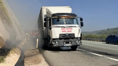 Bursa canlı hayvan nakil aracı otoyolda alev aldı