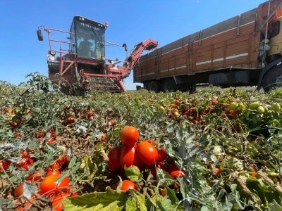 Bursa &ccedil;it&ccedil;isi plansızlıktan şikayet&ccedil;i