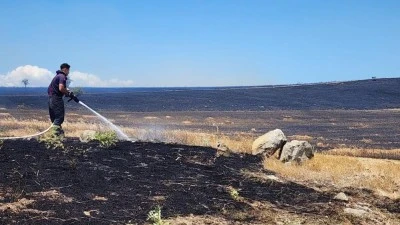 Bursa'da 10 bin d&ouml;n&uuml;ml&uuml;k arazi alevlere teslim oldu